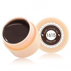 Gel Color Venalisa 1615