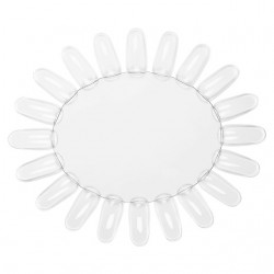 Margareta 18 Pozitii